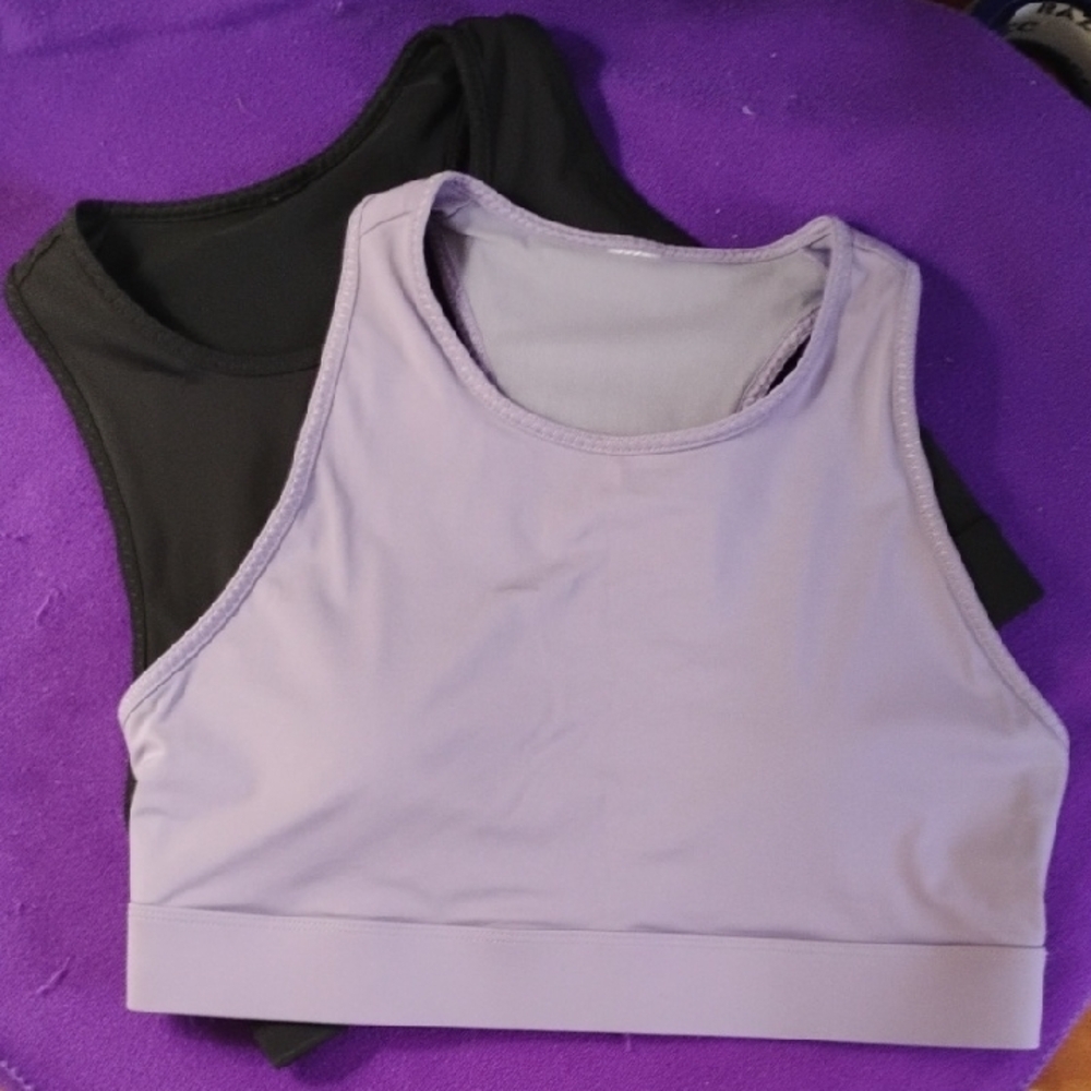 Fabletics 1-Lavender And 1-Black Sports Bra Duo